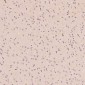Anti-Lysozyme LYZ Rabbit Monoclonal Antibody